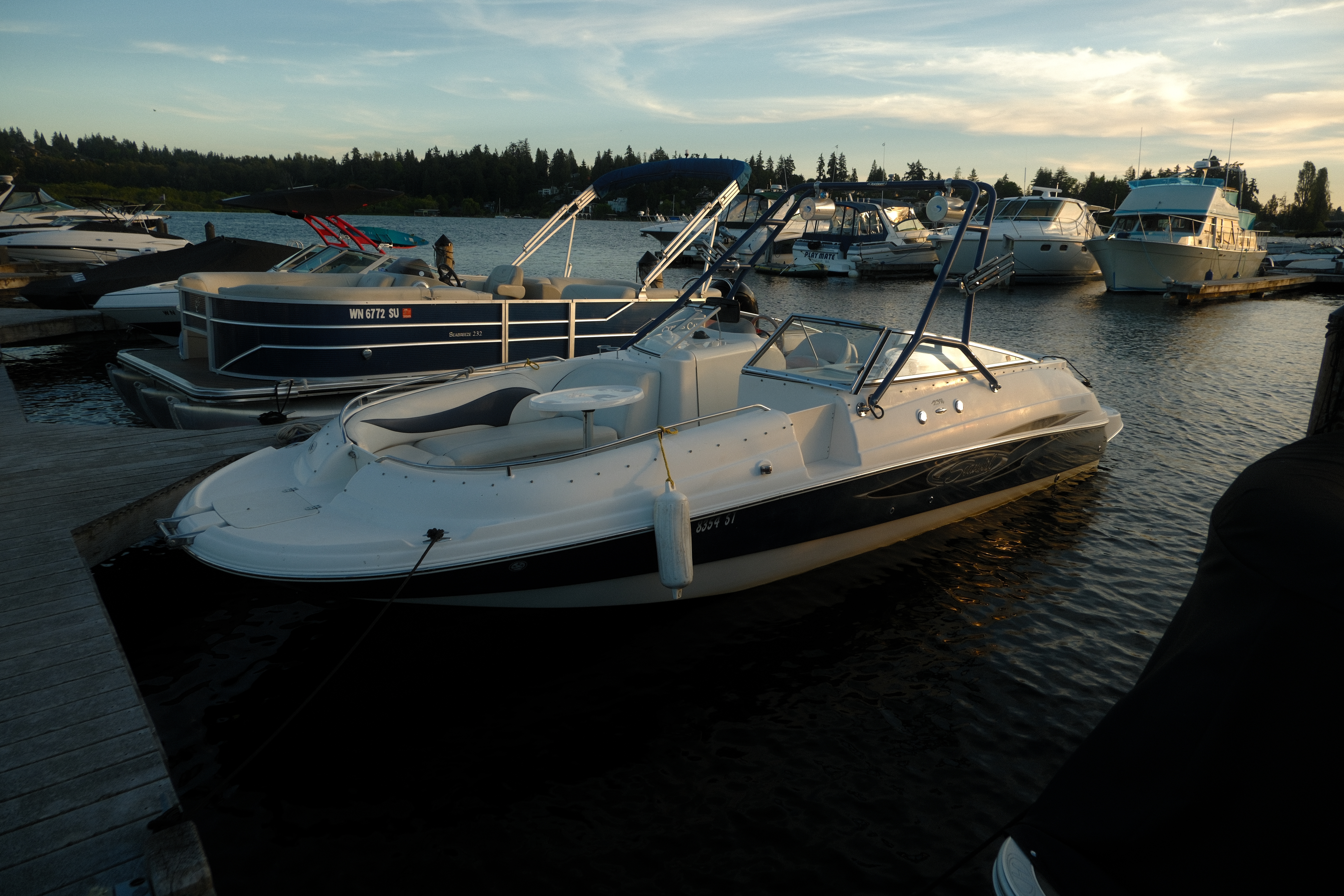 🚤 Explore Lake Washington in Our SeaSwirl 237 Sundeck